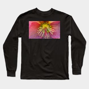 photographic closeup view of a single glowing vivid floral fantasy with delicate and intricate stamens against a black background Long Sleeve T-Shirt